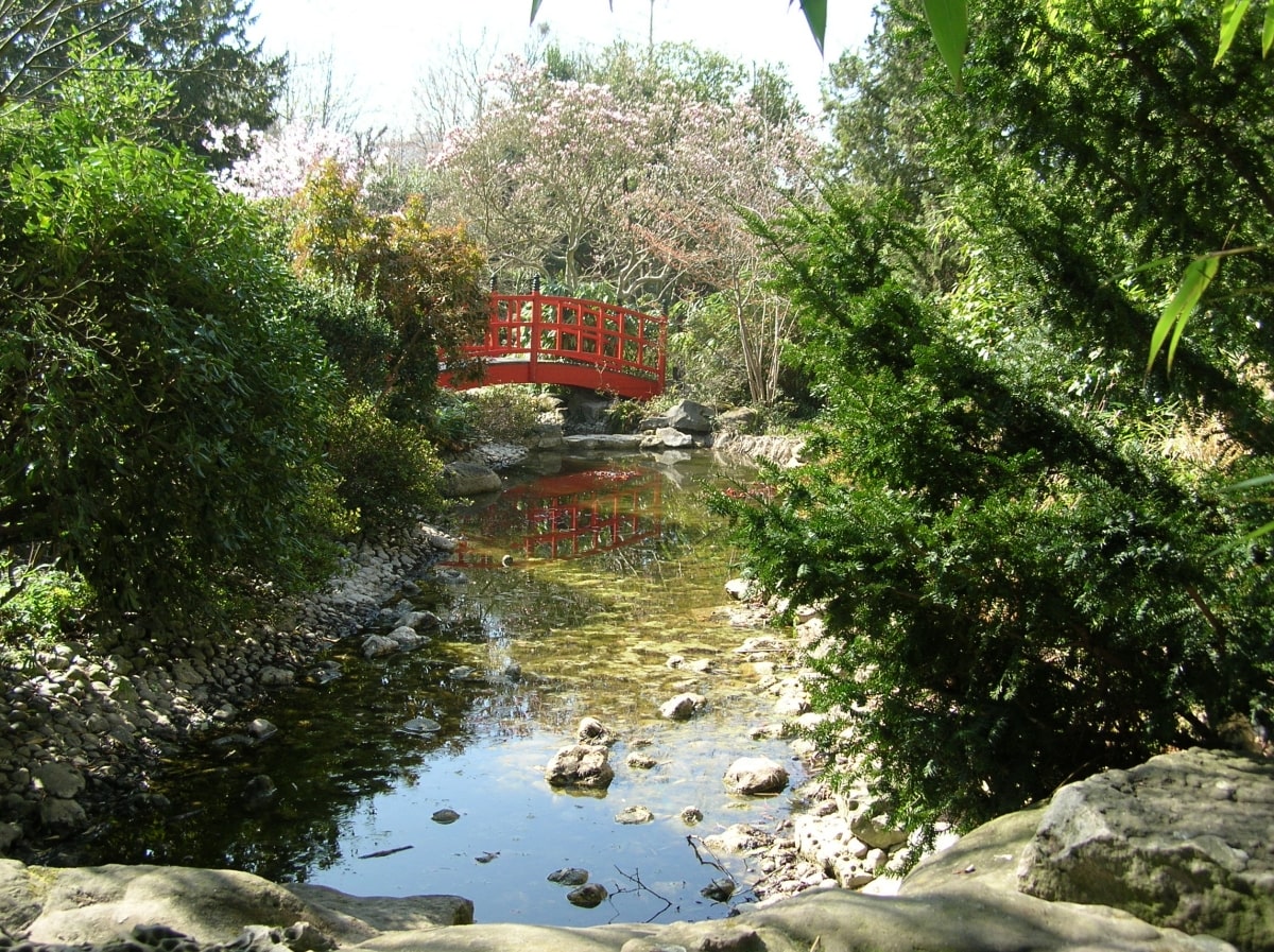 Sistema di monitoraggio delle risorse idriche per l'innaffio dei giardini